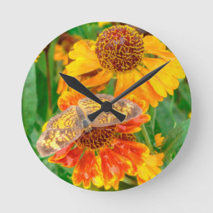 Horloge Ronde Papillon Pearl Crescent sur l'herbe éternuée