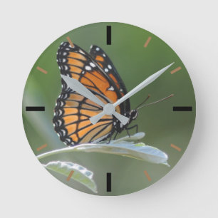 Horloge Ronde Papillon reposant sur une feuille