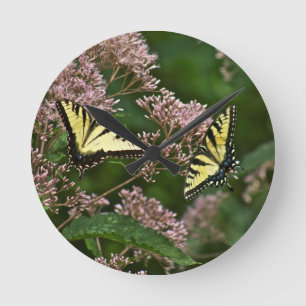 Horloge Ronde Papillons à queue de tigre sur Joe Pye Weed