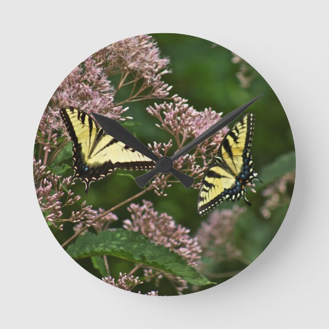 Horloge Ronde Papillons à queue de tigre sur Joe Pye Weed (Recto)