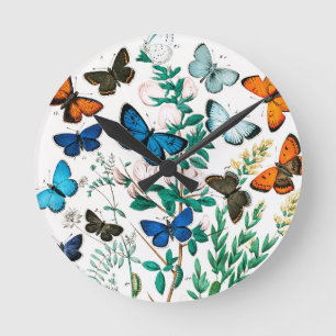 Horloge Ronde Papillons, chenilles de William Forsell Kirby
