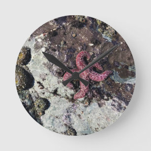 Horloge Ronde Parc Rock State de Sisters