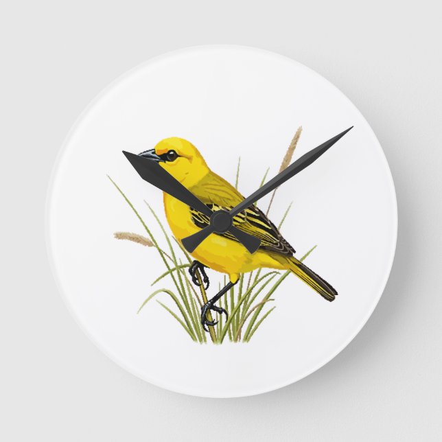 Horloge Ronde pássaro amarelo (Recto)