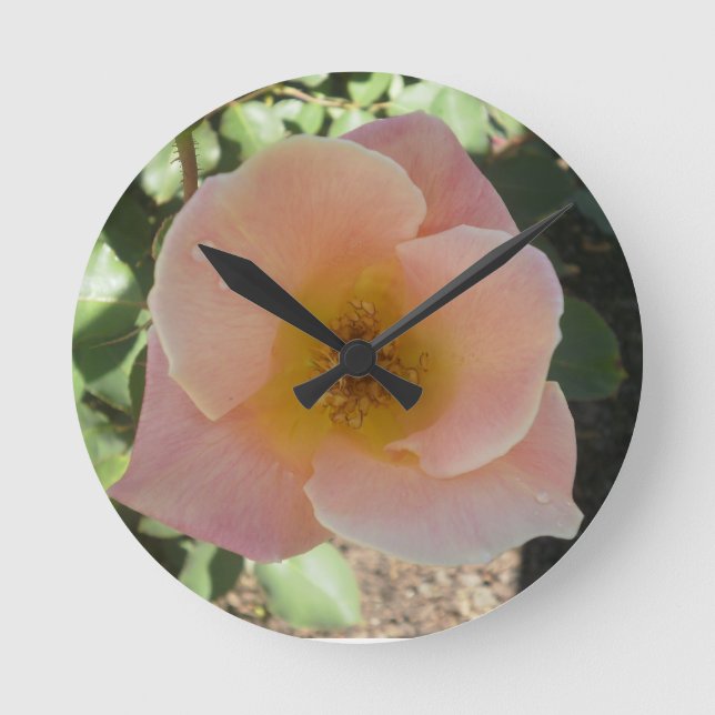 Horloge Ronde Peach Rose (Recto)