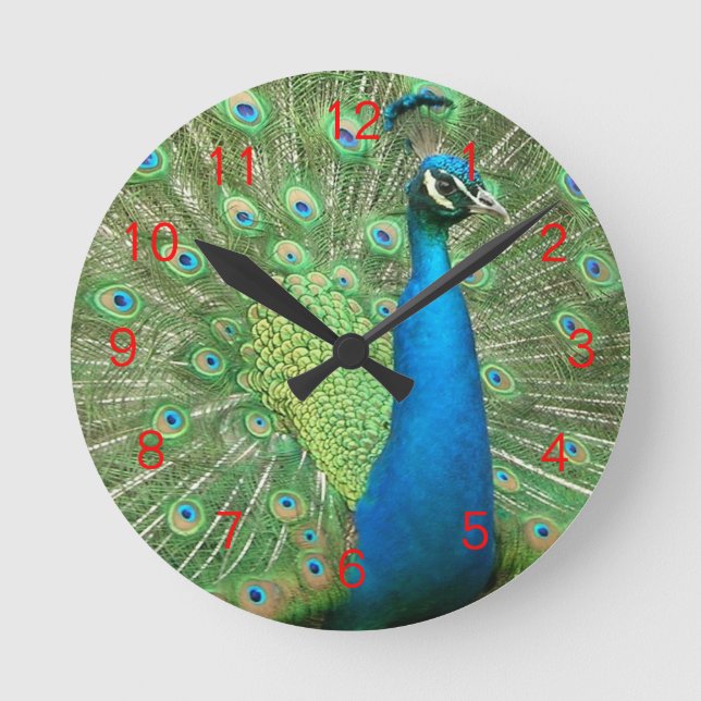 Horloge Ronde Peacock Strut (Recto)