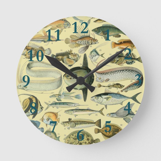 Horloge Ronde Pêche scientifique vintage (Recto)