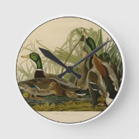 Peinture d'oiseaux de Mallard Duck Audubon
