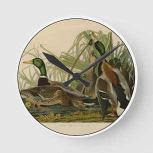 Horloge Ronde Peinture d'oiseaux de Mallard Duck Audubon