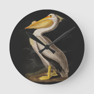 Horloge Ronde Pélican blanc antique de John James Audubon côtier