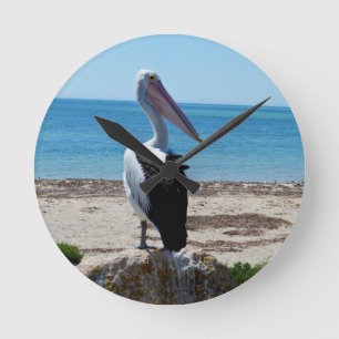 Horloge Ronde Pelican on Beach Rock