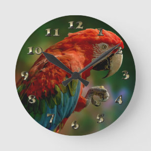 Horloge Ronde Perroquet coloré