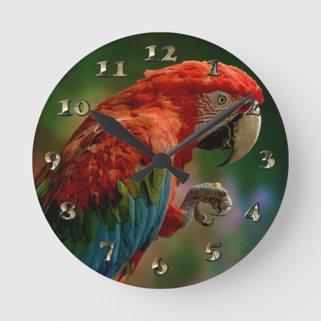 Horloge Ronde Perroquet coloré (Recto)