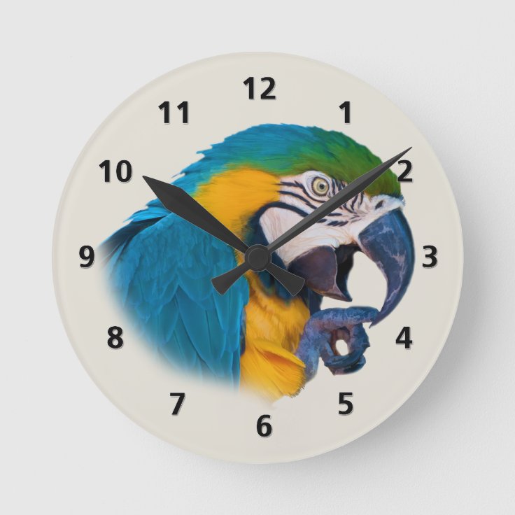 Horloge Ronde Perroquet De Bleu Et D Or Personnalisable Zazzle Fr