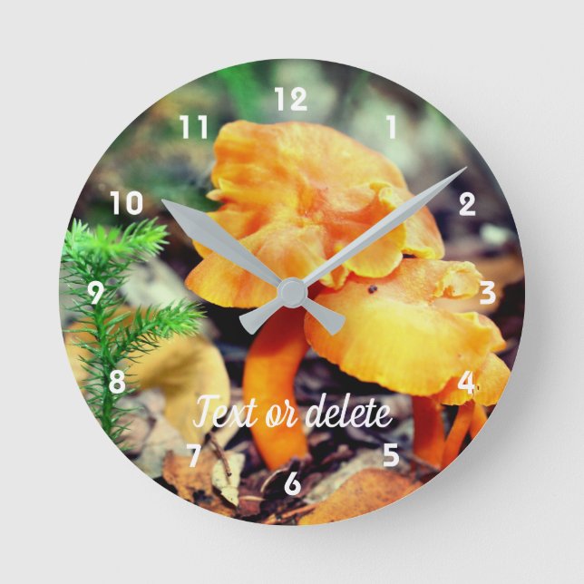 Horloge Ronde Personnalisation de Pale Orange Wild Mushroom (Recto)