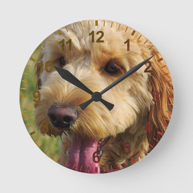 Horloge Ronde Petit chien Goldendoodle (Recto)