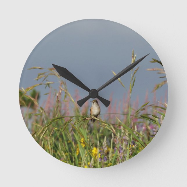 Horloge Ronde Petit colibri gras (Recto)