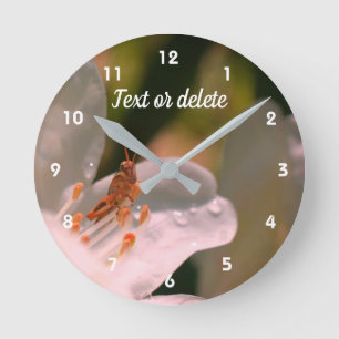 Horloge Ronde Petit Grasshopper Sur Fleur Azalea Personnalisé