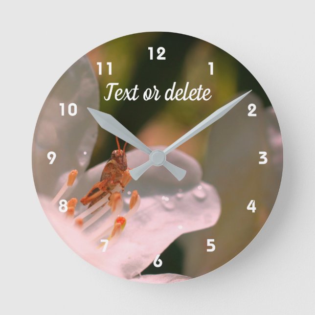 Horloge Ronde Petit Grasshopper Sur Fleur Azalea Personnalisé   (Recto)