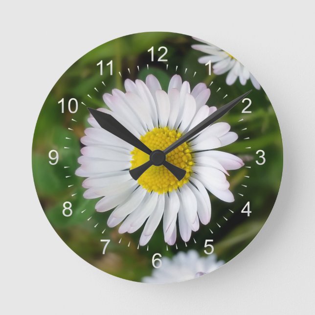 Horloge Ronde Petites marguerites (Recto)