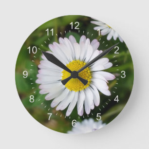 Horloge Ronde Petites marguerites
