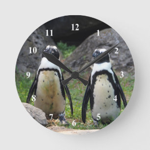 Horloge Ronde Photo au pair de Wildlife Penguin