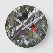 Photo Cardinal Pine des neiges