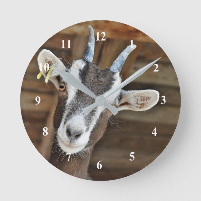 Horloge Ronde Photo Cute Brown et White Goat (Recto)