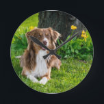 Horloge Ronde Photo d'animal de compagnie d'un berger australien<br><div class="desc">Personnalisé Australian Shepherd Chien Animal de Compagnie Photo Horloge Ronde</div>