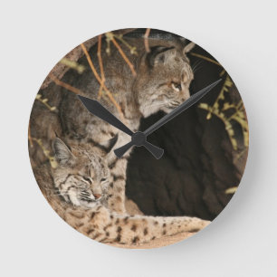 Horloge Ronde Photo de Bobcat