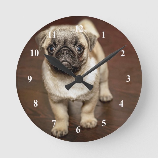 Horloge Ronde Photo de chien Brown carlin (Recto)