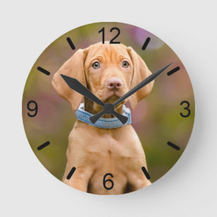 Horloge Ronde Photo de chiot hongrois aux yeux de chiots cupides