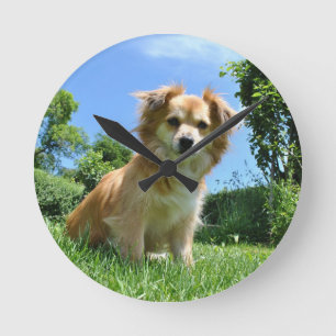 Horloge Ronde Photo de chiot mignon dans le jardin
