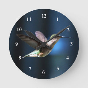 Horloge Ronde Photo de colibri sauvage