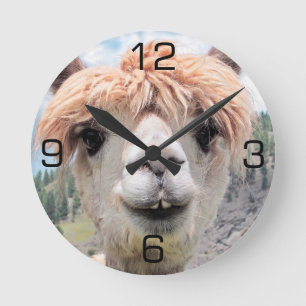 Horloge Ronde Photo de Cute Smiling Alpaca