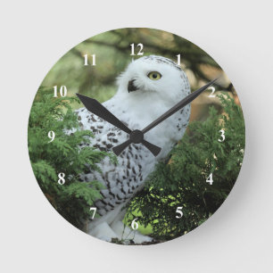 Horloge Ronde Photo de la Chouette blanche de la faune