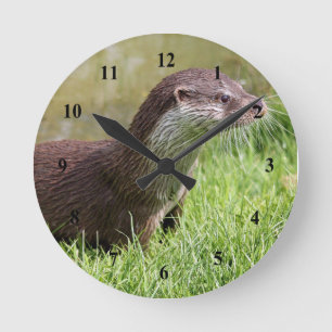 Horloge Ronde Photo de la faune de l'Herbe Otter