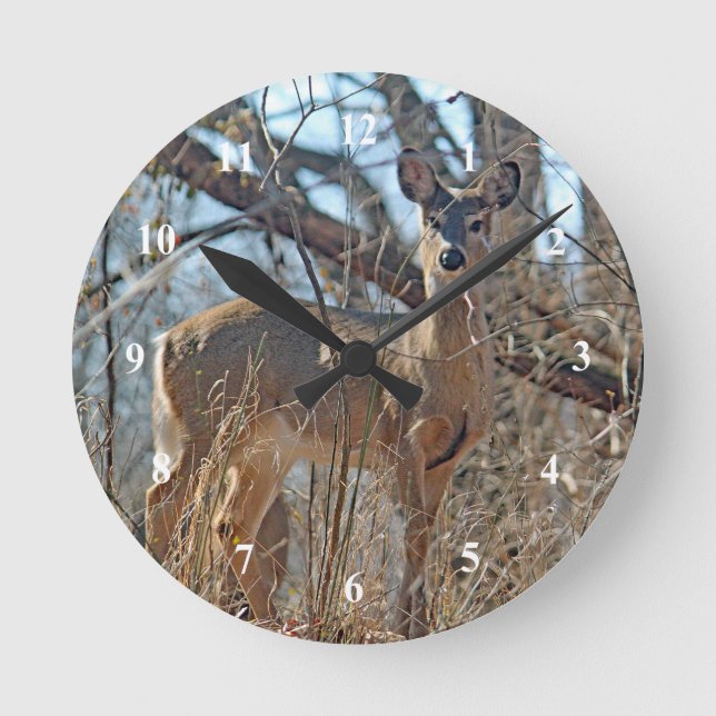Horloge Ronde Photo de la faune Deer Woods (Recto)