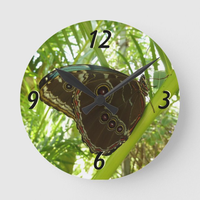 Horloge Ronde Photo de la nature du papillon bleu Morpho (Recto)