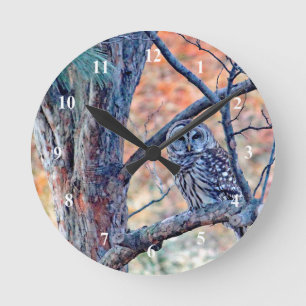 Horloge Ronde Photo de l'arbre de la Chouette Barred Wildlife