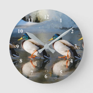 Horloge Ronde Photo de Mallard Ducks