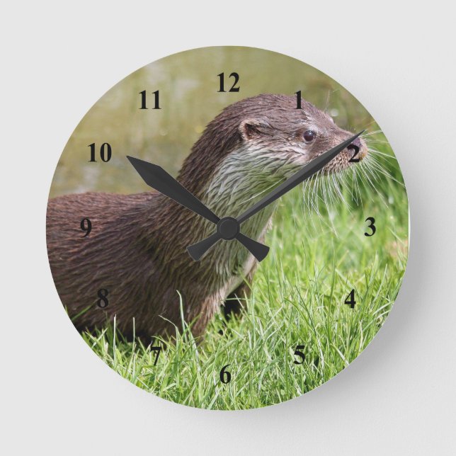 Horloge Ronde Photo de Otter Grass Wildlife (Recto)