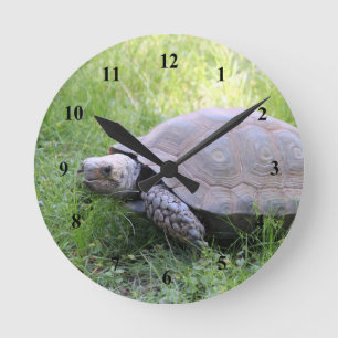 Horloge Ronde Photo de tortue Brown de la faune