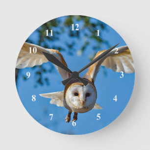 Horloge Ronde Photo de vol de Barn Owl