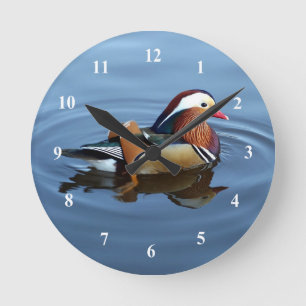 Horloge Ronde Photo de Wildlife Colorful Duck Blue Water
