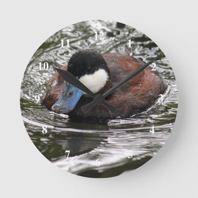 Horloge Ronde Photo de Wildlife Ruddy Duck (Recto)