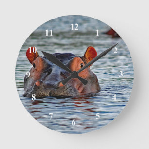 Horloge Ronde Photo d'eau d'Hippo Faune