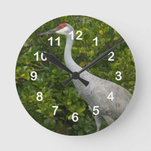 Horloge Ronde Photo d'oiseau de grue de Sandhill