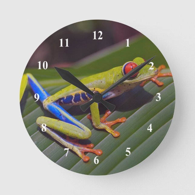 Horloge Ronde Photo Frog Red Eye (Recto)