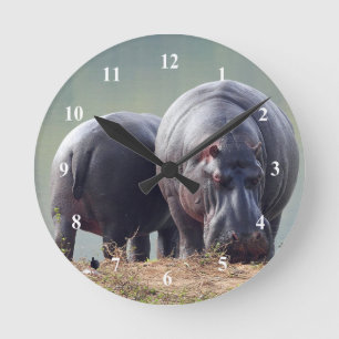Horloge Ronde Photo Hippo Faune