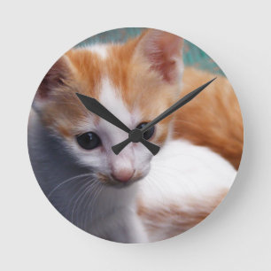 Horloge Ronde Photo Orange Kitten